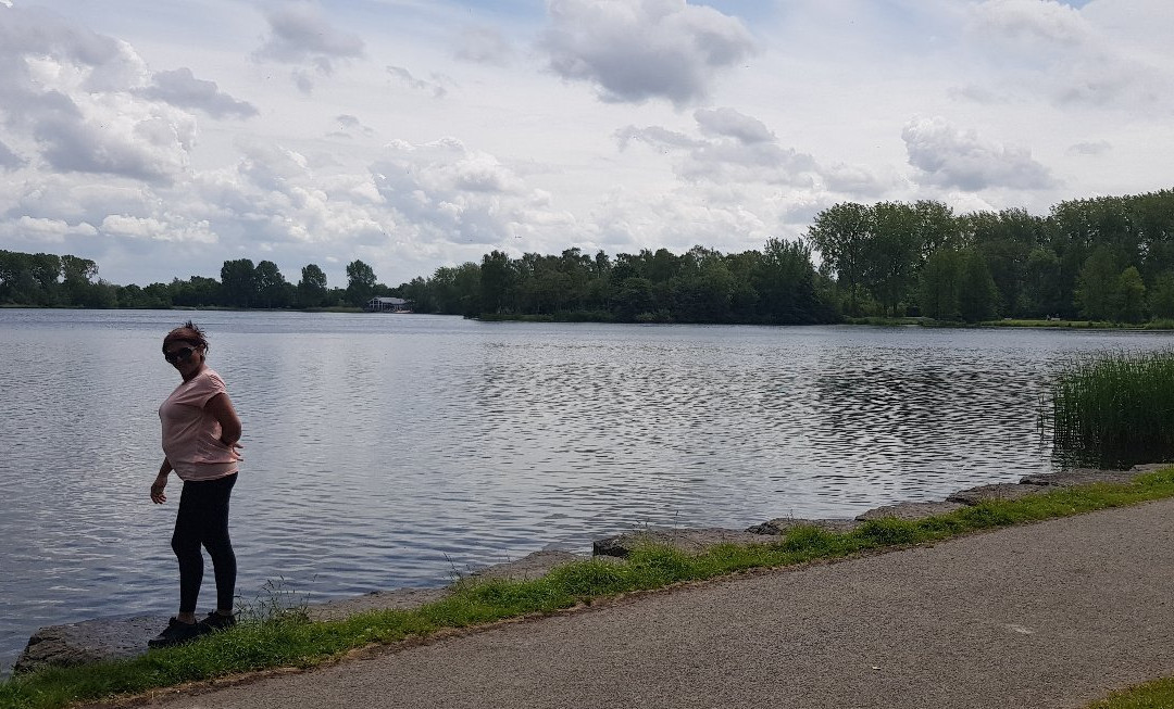 Haarlemmermeerse Bos-霍夫多普必去景点