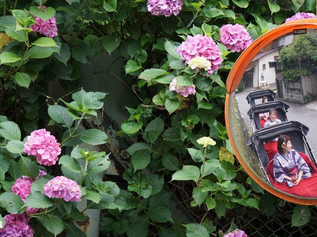 惠比寿屋人力观光车 镰仓店-镰仓市必去景点