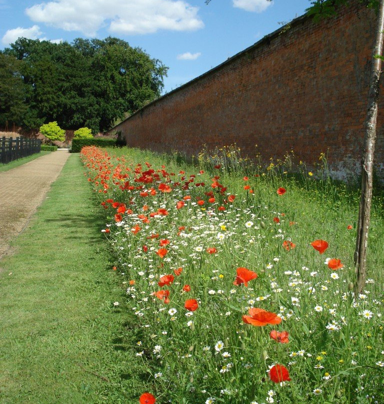 Elsham Hall Gardens and Country Park景点图片