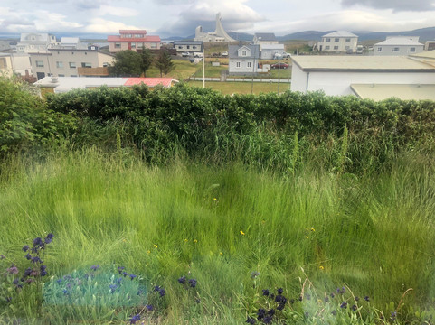 Hofdagata Guesthouse主图