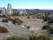 Plateau du Larzac景点图片