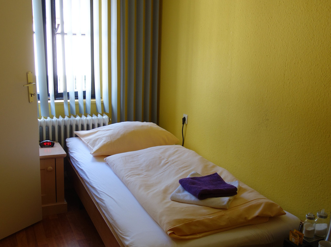 Astoria Hotel Heimbach主图