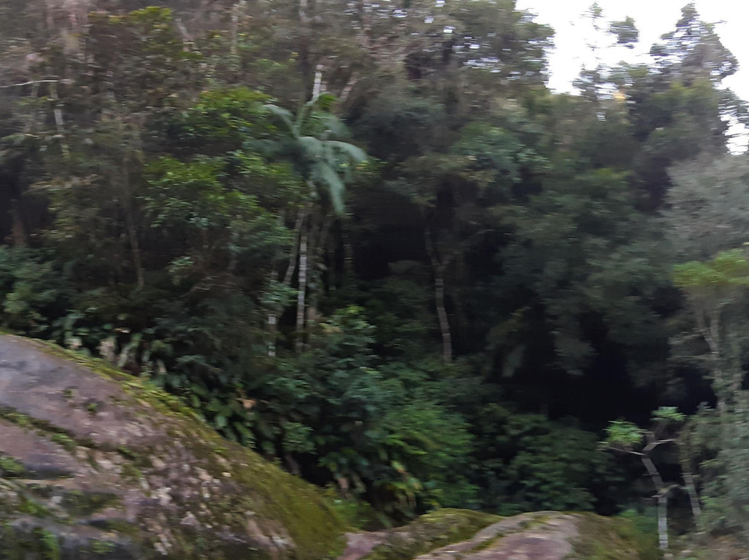 Cachoeira do Capivari景点图片