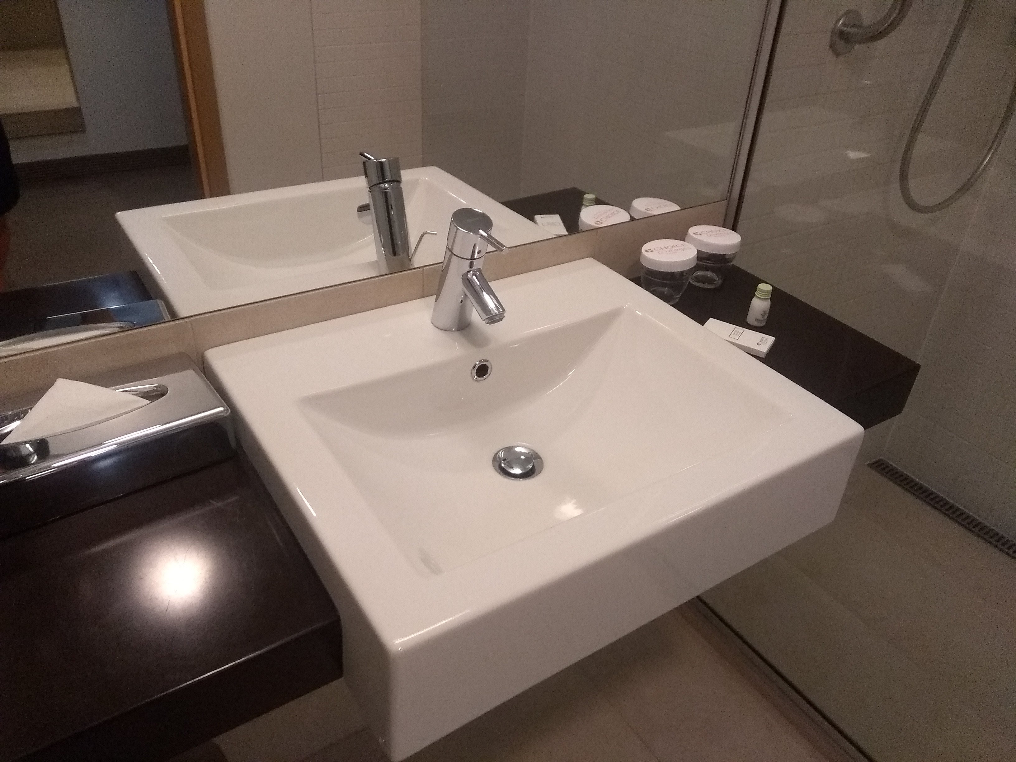 俄斯特拉发雷迪森公园客栈-浴室