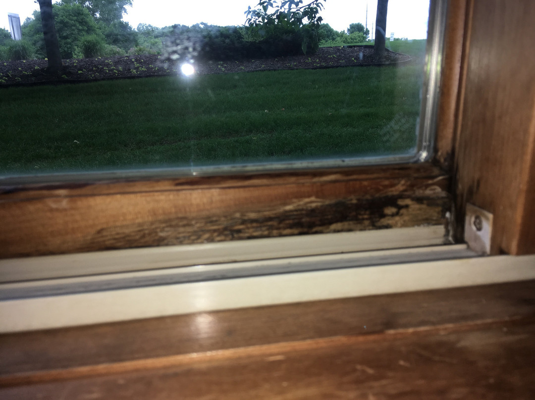 AmericInn by Wyndham Chanhassen主图