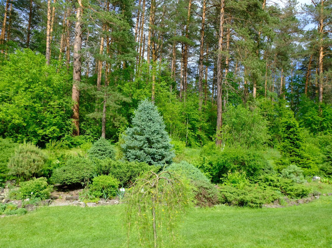 Gorno-Altaisk Botanical Garden景点图片