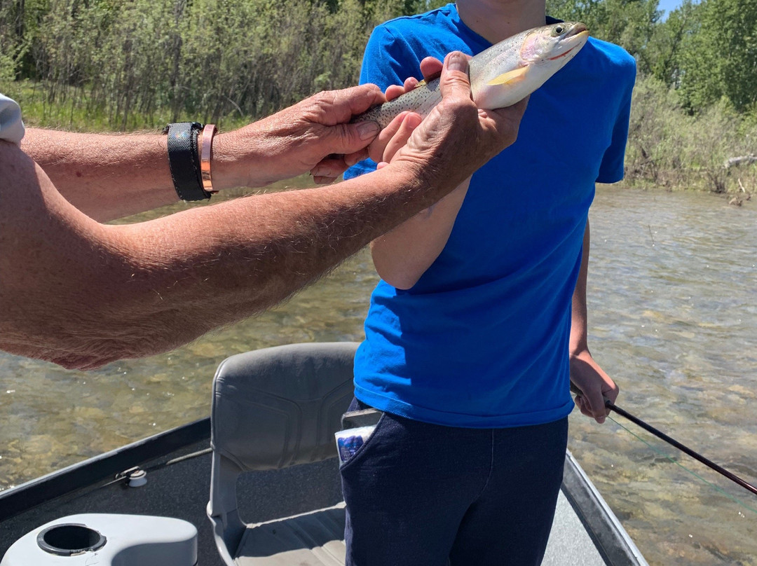 Wild Trout Adventures-Bigfork必去景点