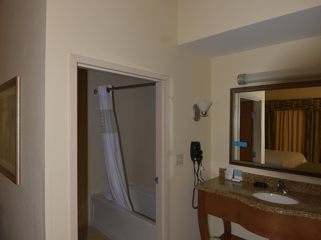 爱丽丝希尔顿恒庭酒店主图