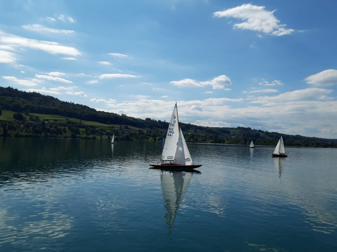 Seeuferweg Hallwilersee-Seengen必去景点