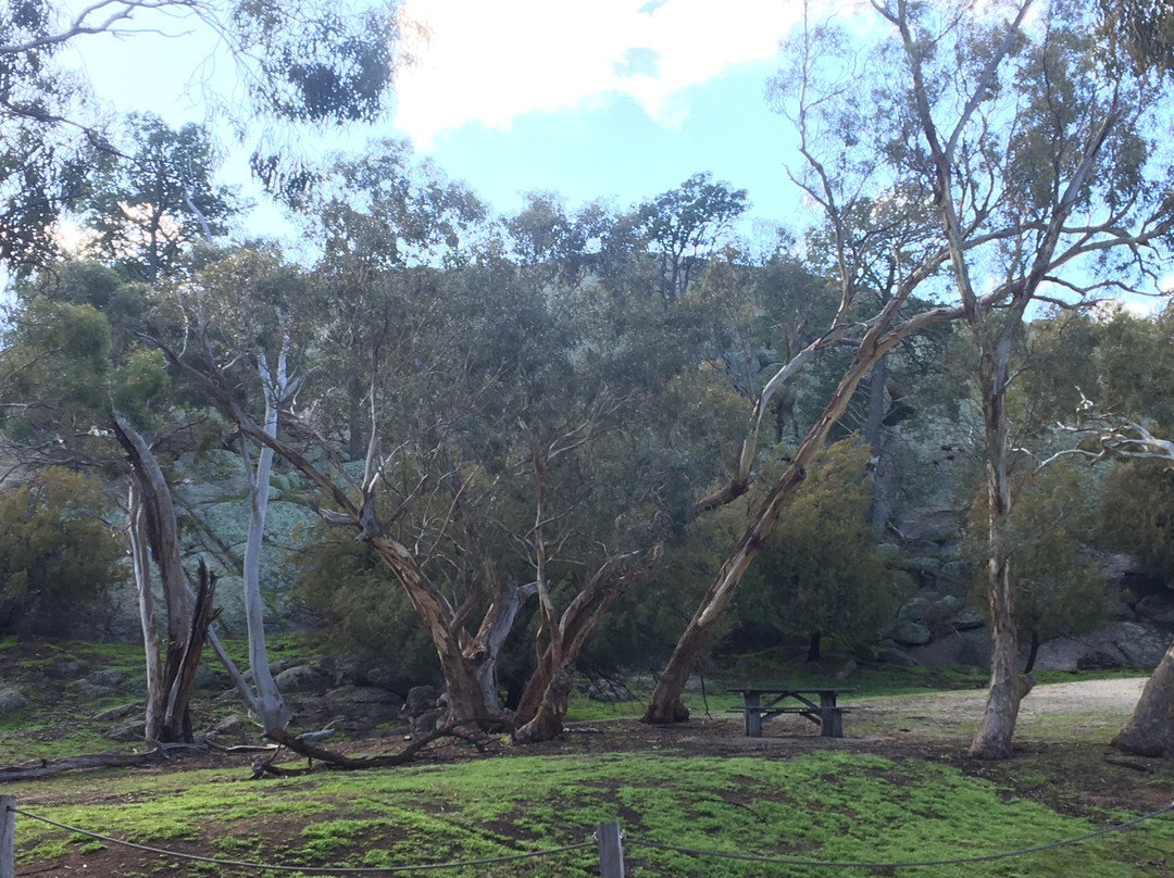 Terrick Terrick National Park-Mitiamo必去景点