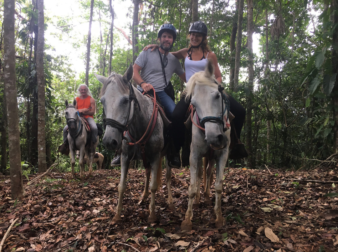 Rainforest Rides & Rappelling景点图片