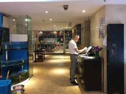 Gallery 2