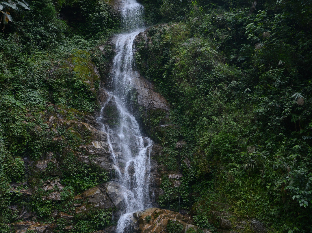 Rimbi Waterfalls-Pelling必去景点
