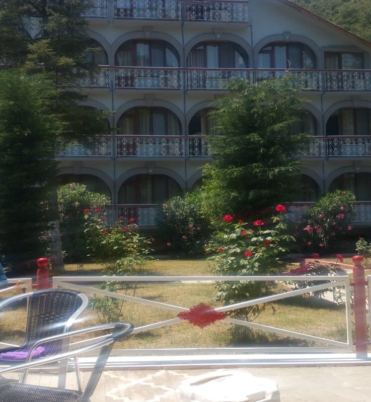 Yildiz Termal Otel主图