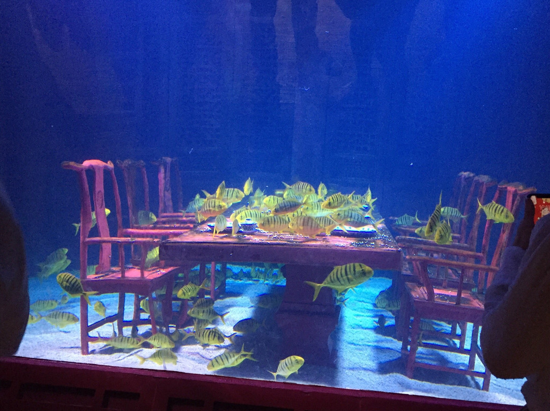 长风海洋世界-上海市必去景点