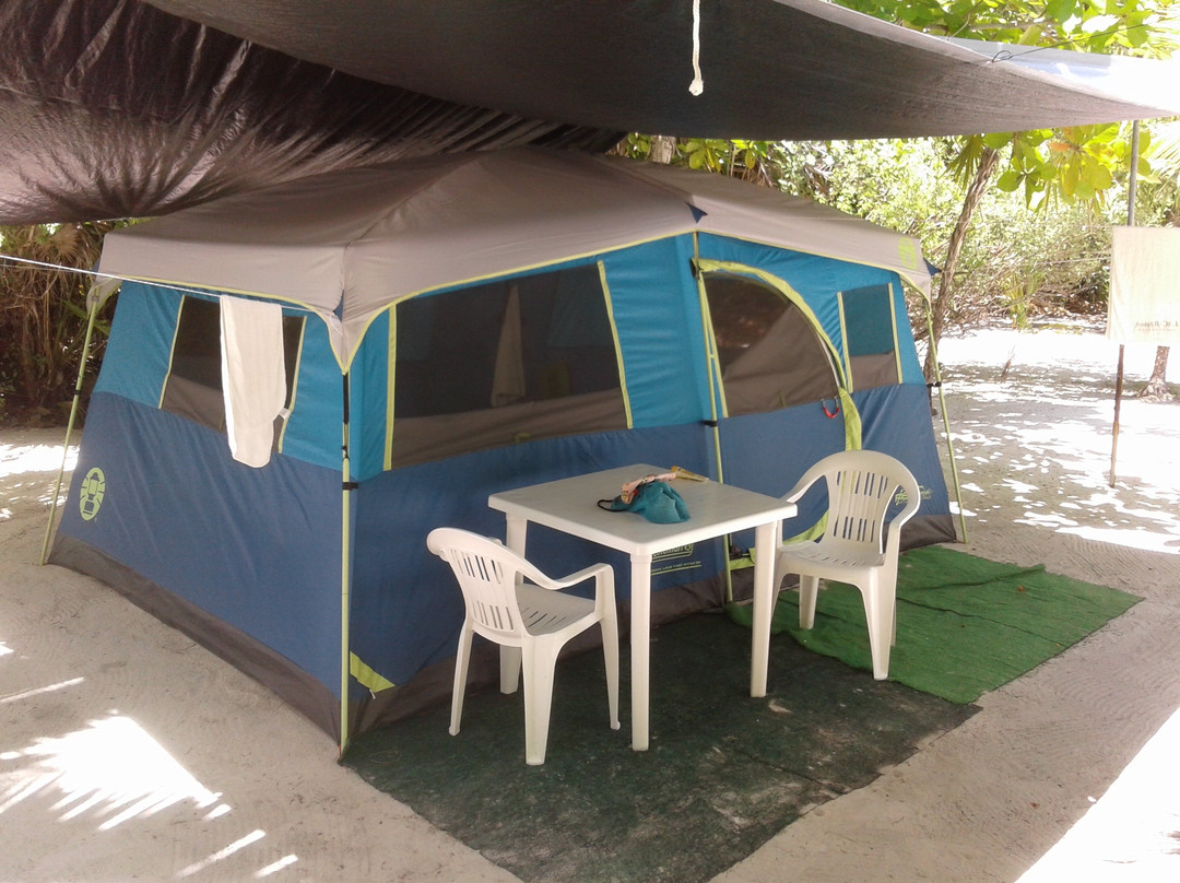 Serenidad Shardon主图