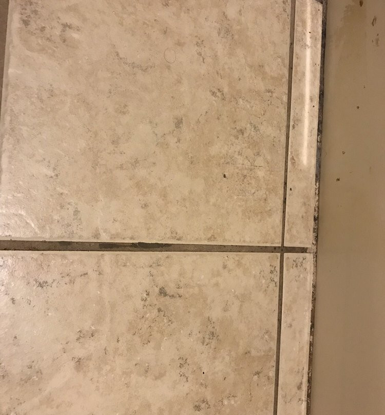 Knights Inn Bridgeport/Frankenmuth主图