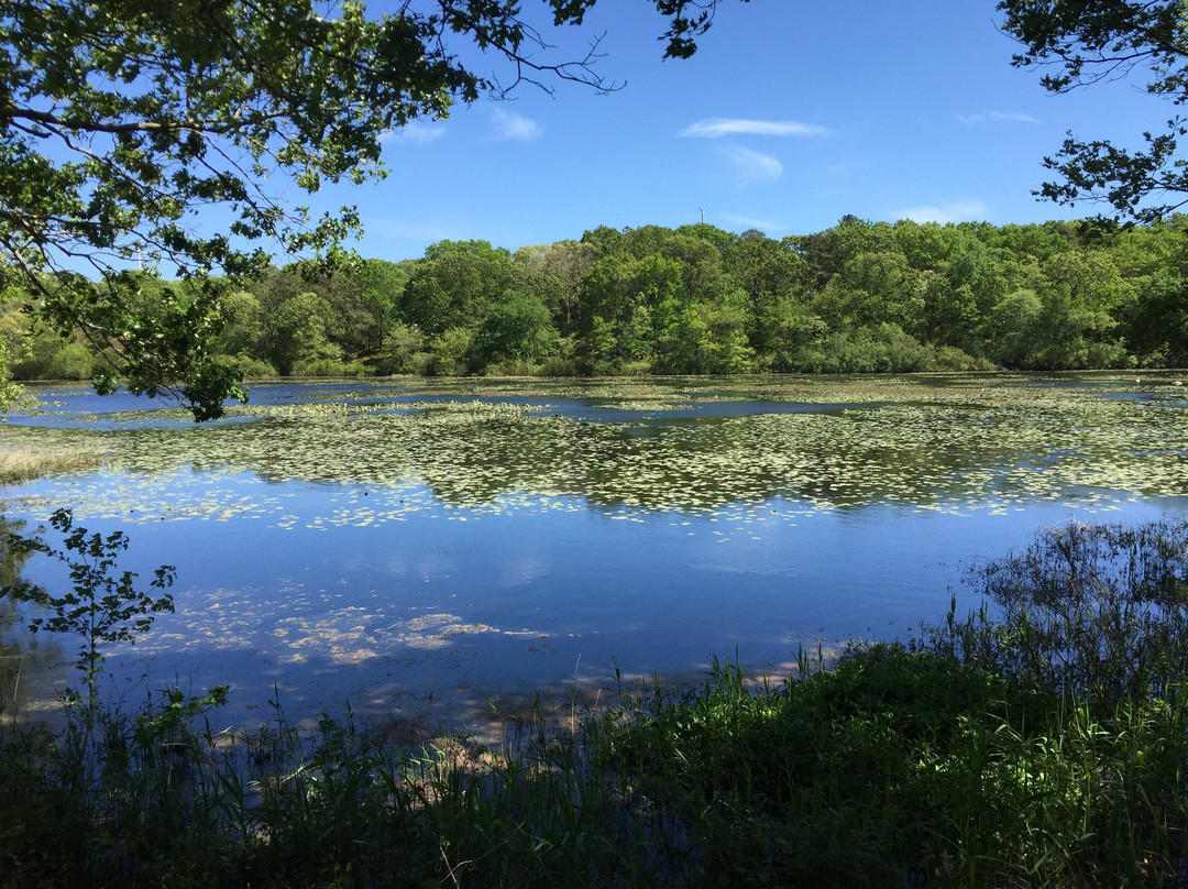 Peconic River Herb Farm景点图片