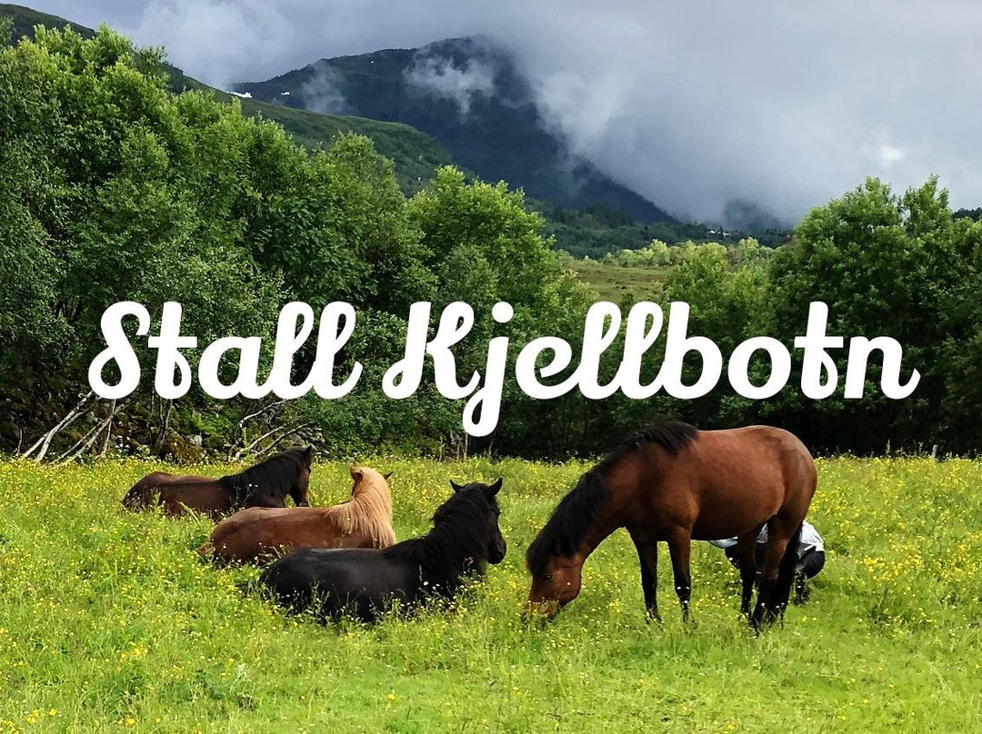 Stall Kjellbotn