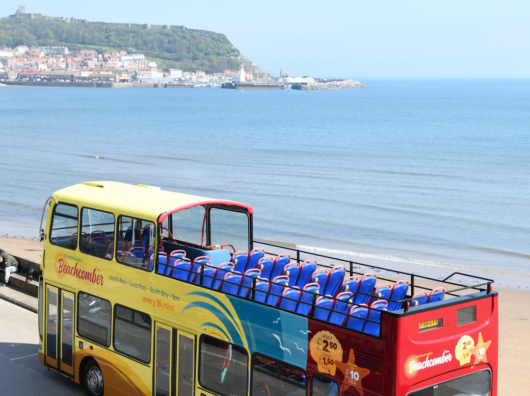 Scarborough's Beachcomber景点图片