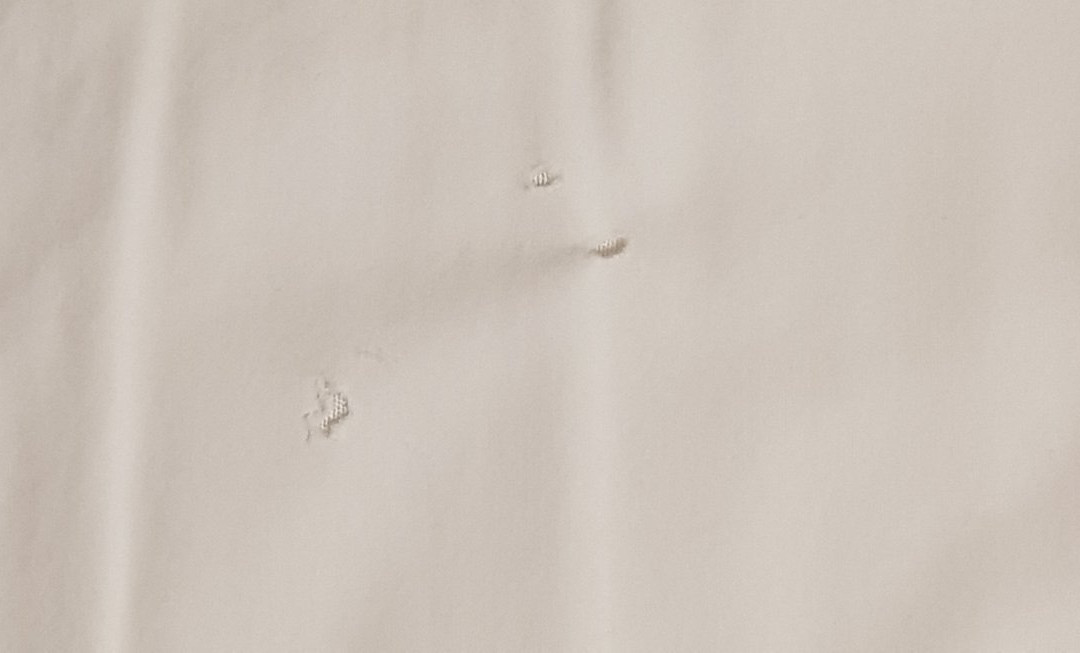 The White House Motel主图