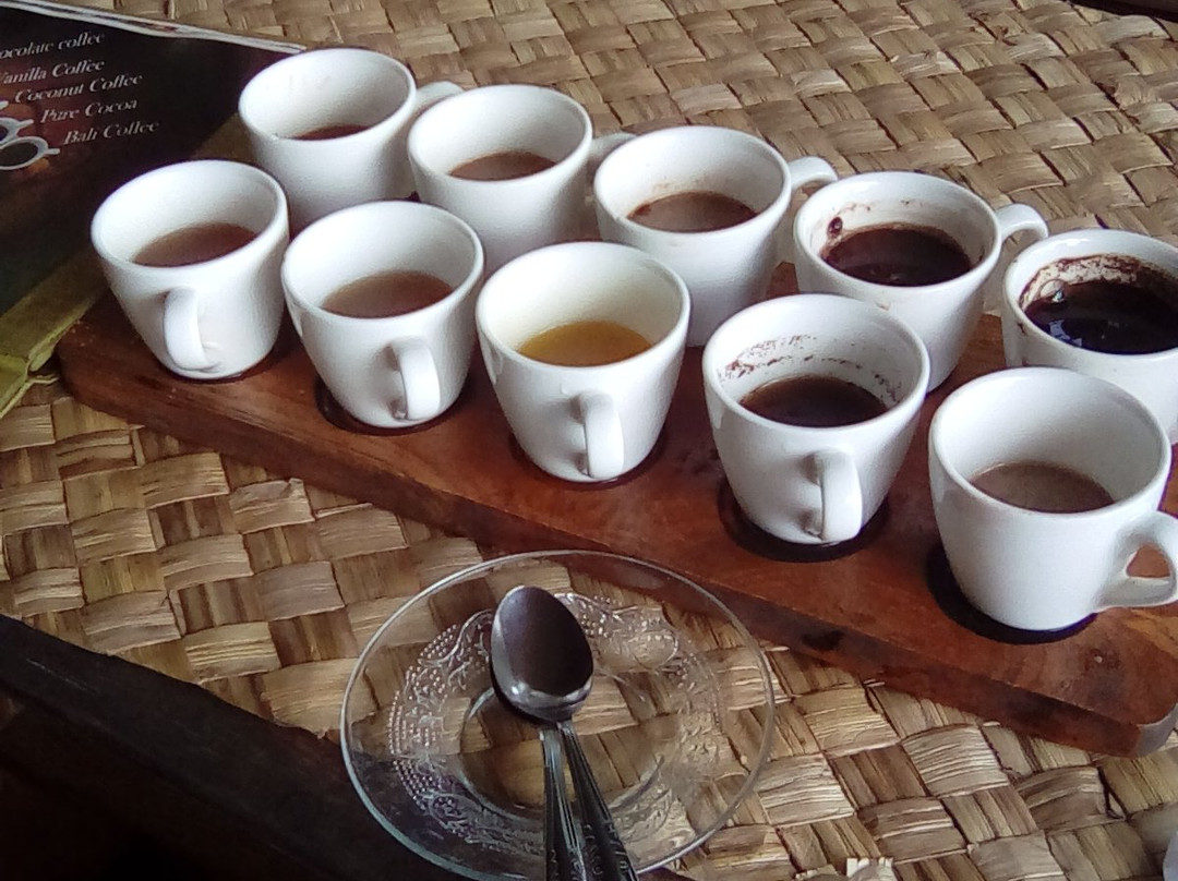 Bali Pulina Coffee Plantation景点图片