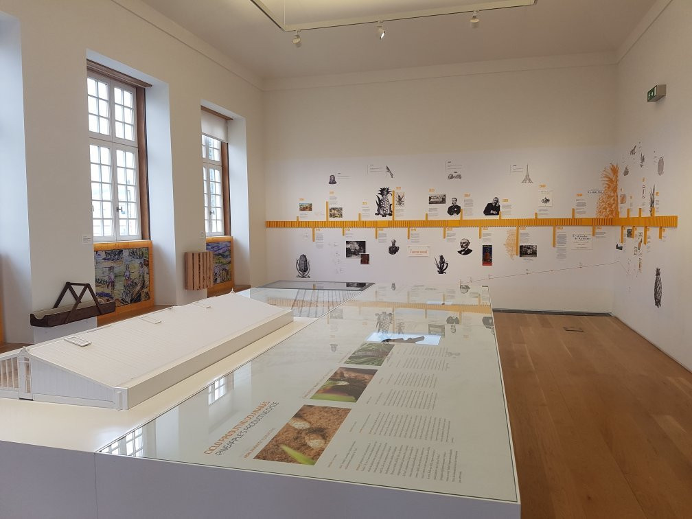 Centro de Interpretacao da Cultura do Ananas-蓬塔德尔加达必去景点