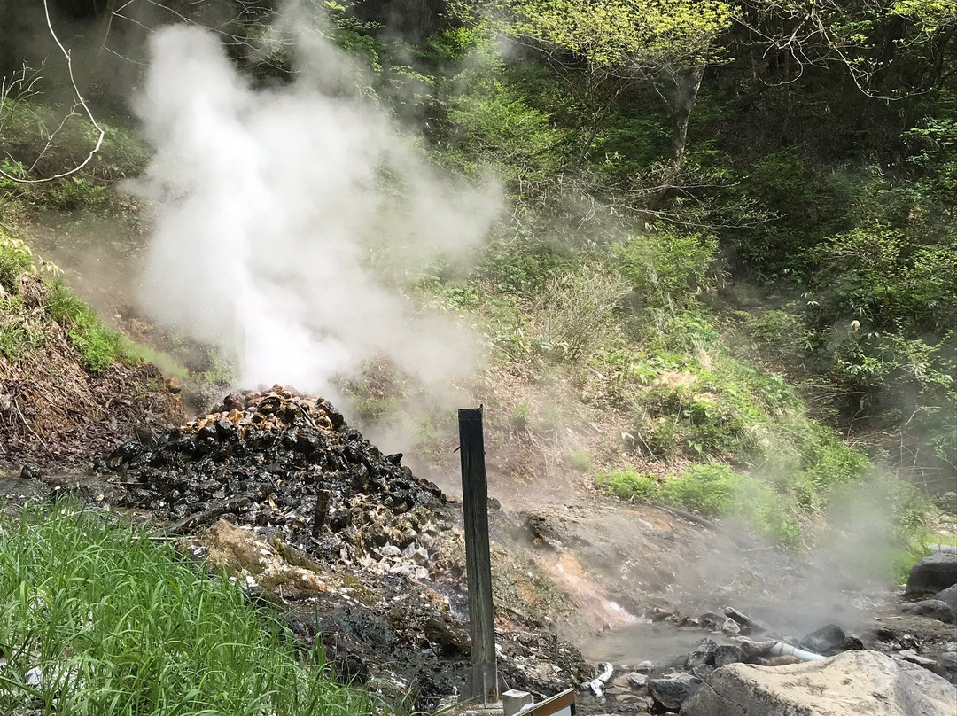 Jigokudani Walking Path-大崎市必去景点