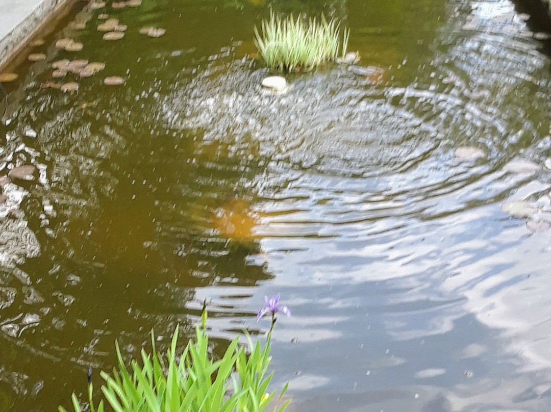 Charles Cheney Inn主图