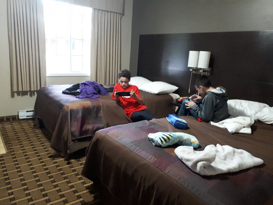 Cedar Lodge Motel主图