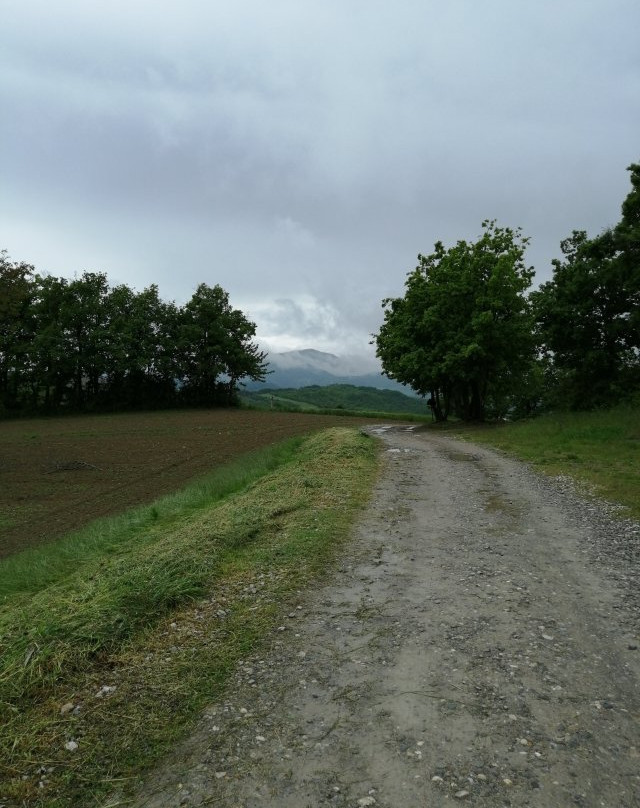 Agriturismo Il Filare主图