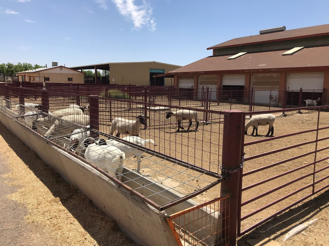 New Mexico State University-拉斯克鲁塞斯必去景点
