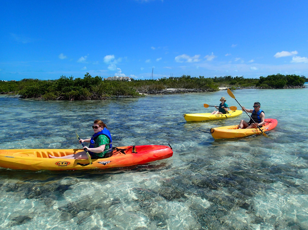 Adventure Sports TCI-普罗维登西亚莱斯必去景点