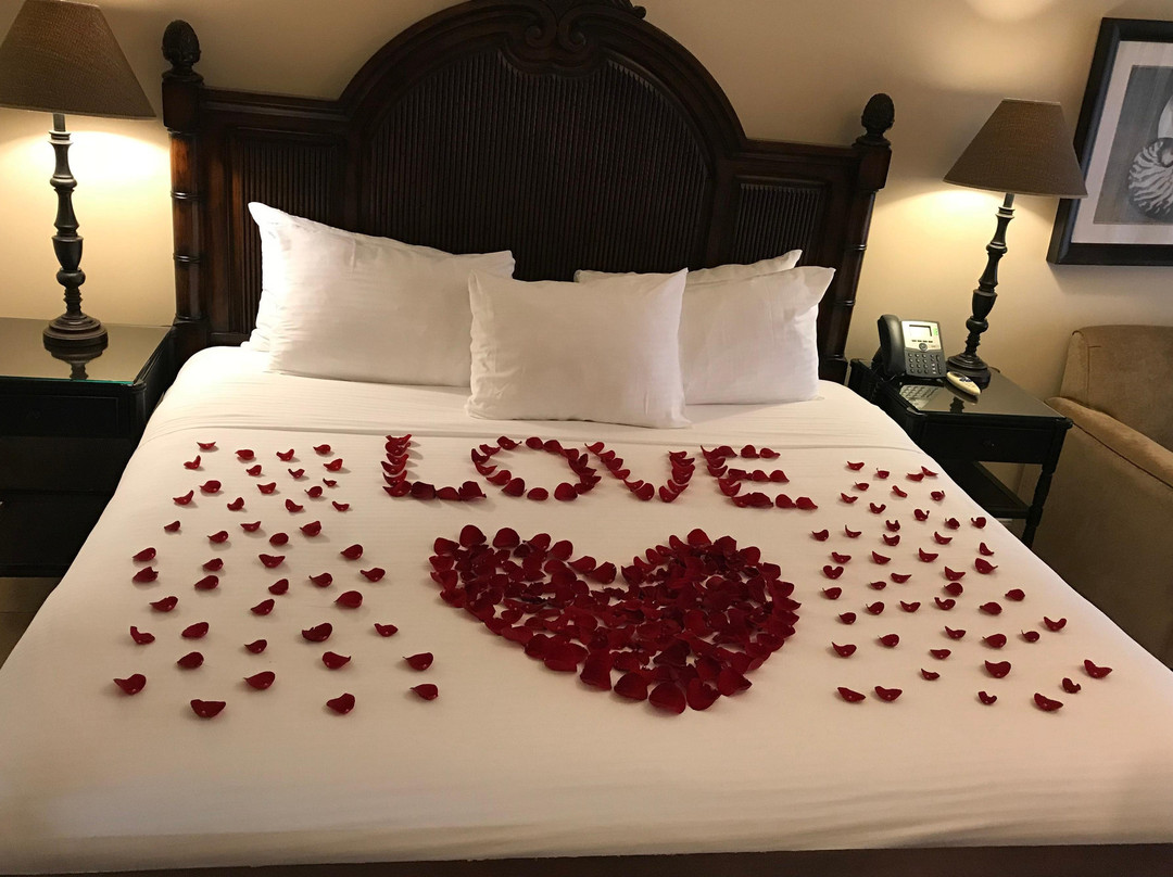 EveryDay Romance TCI-普罗维登西亚莱斯必去景点