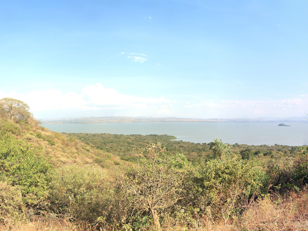 Lake Tana景点图片