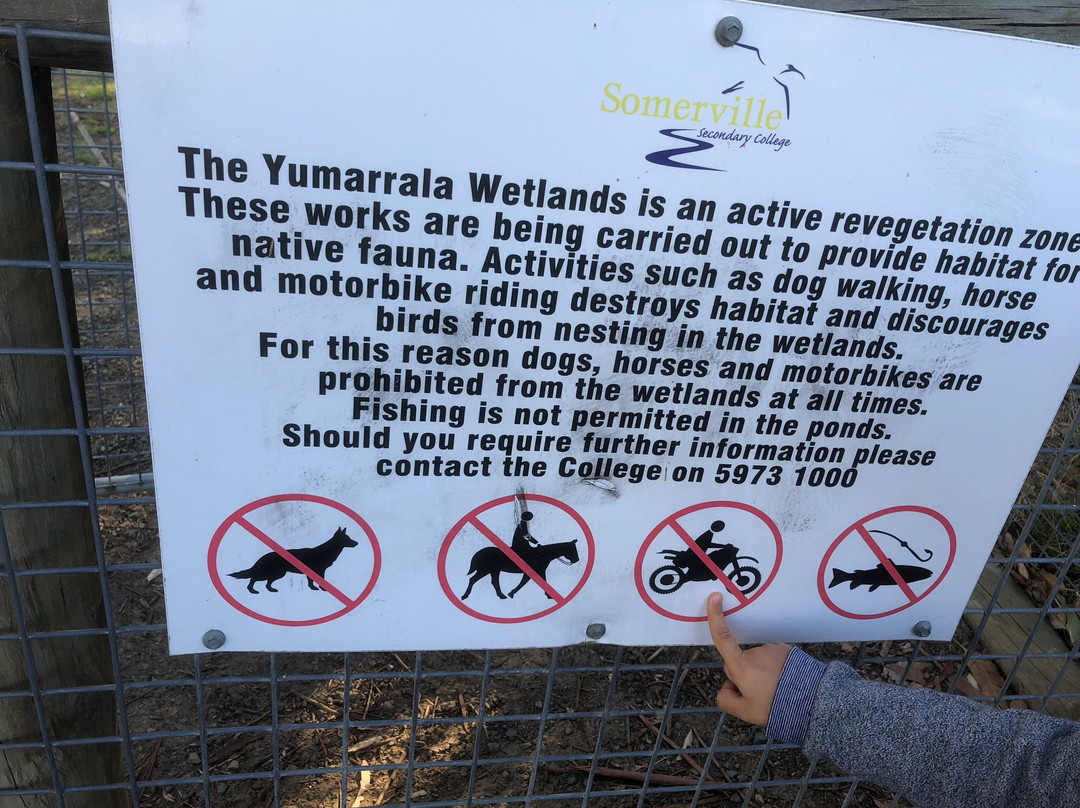 Yumarrala Wetlands景点图片
