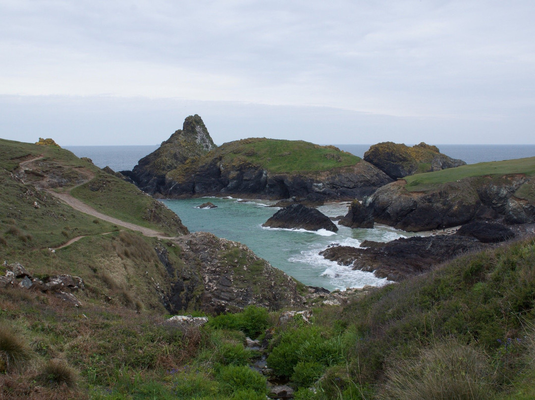 Predannack Downs Nature Reserve-康沃尔必去景点
