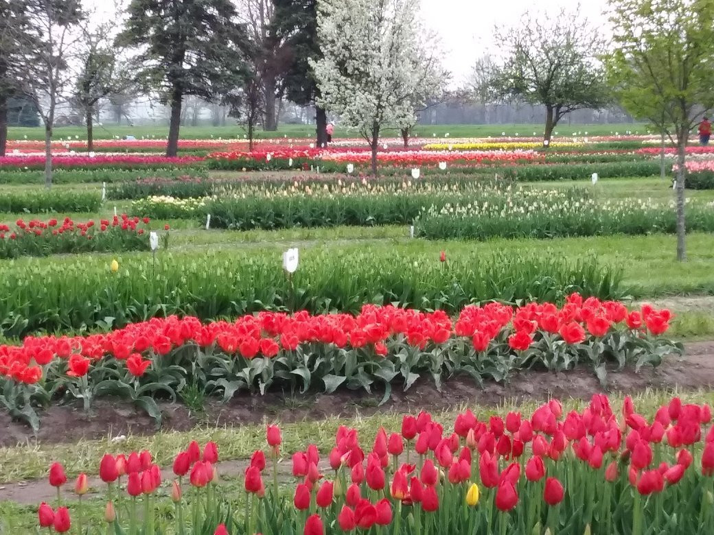 Van Raalte Farm-荷兰村必去景点