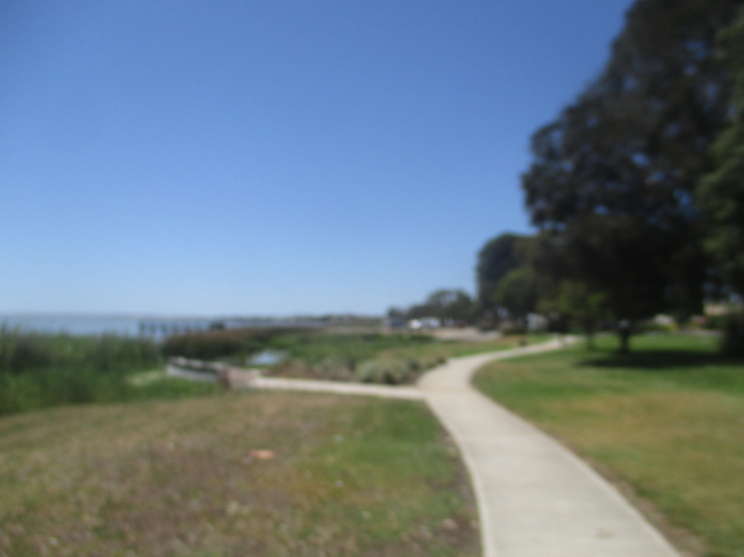 Meningie Lions Jubilee Park-Meningie必去景点