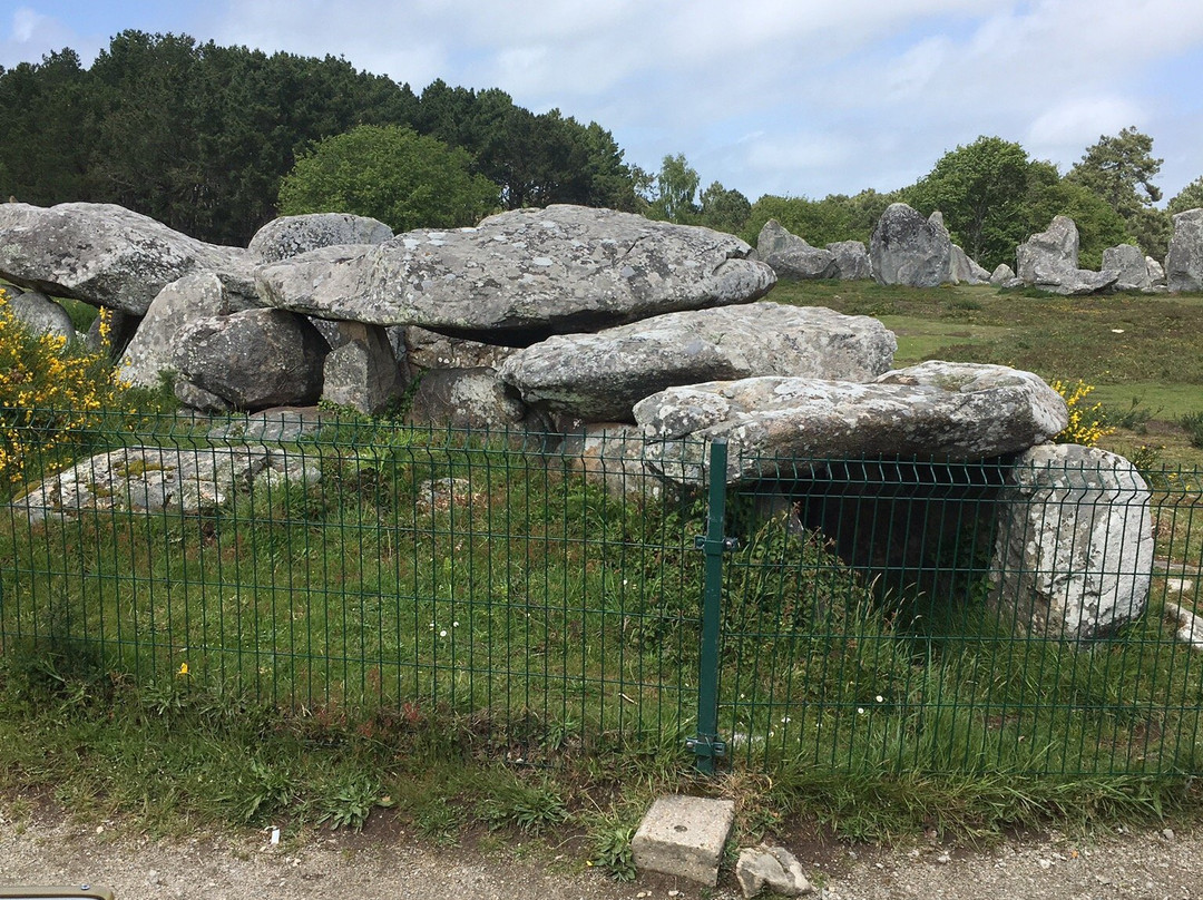 Megaliths of Carnac景点图片