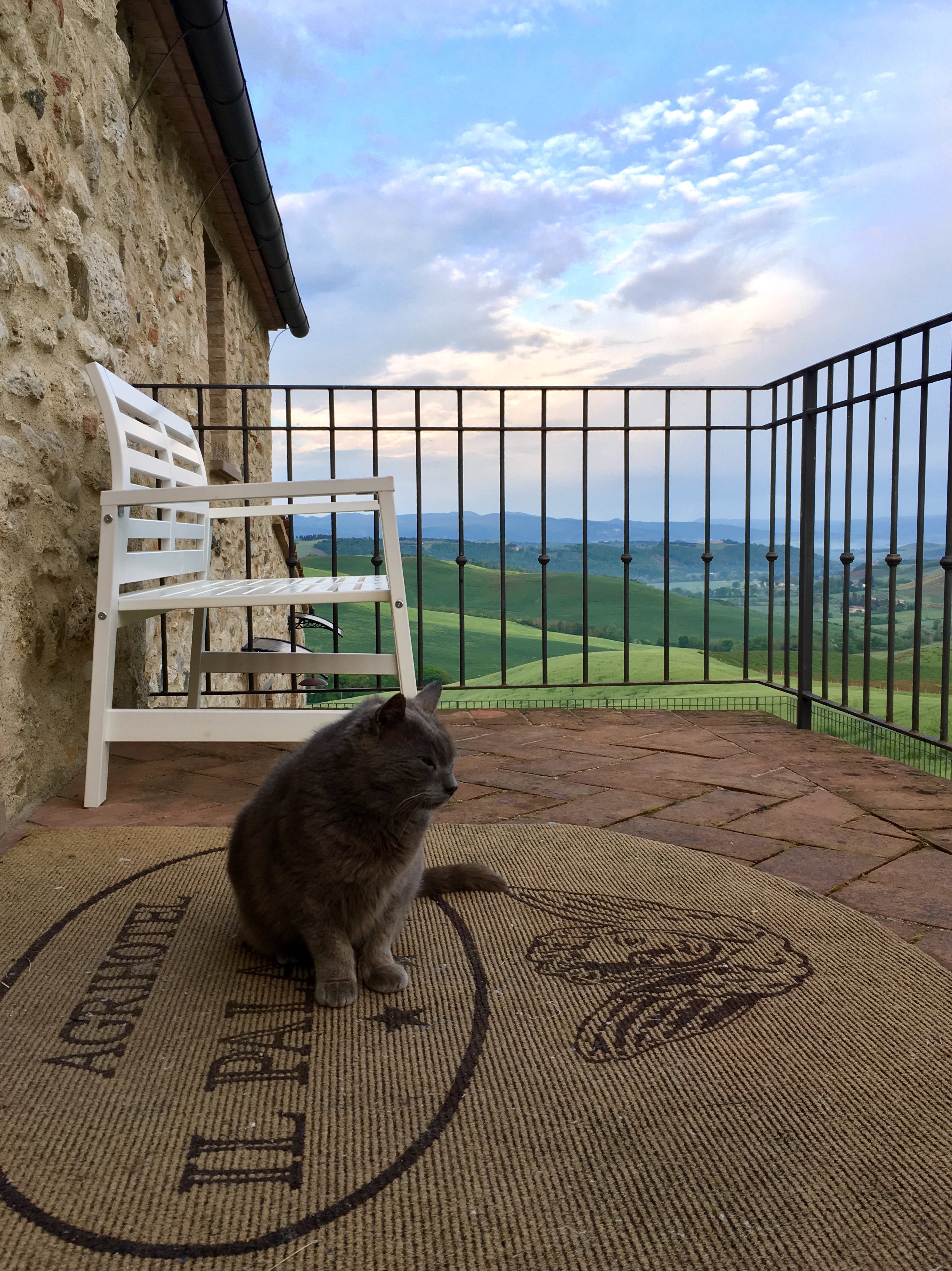 Agrihotel Il Palagetto-浴室