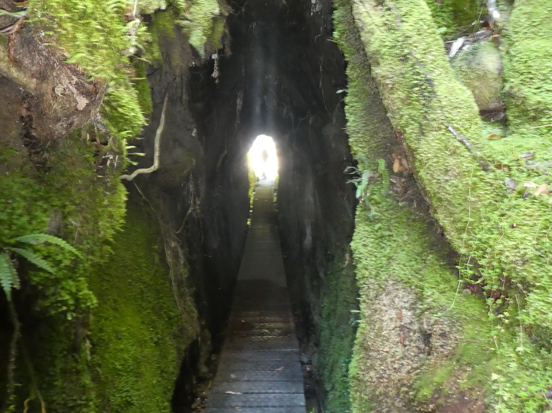 Tunnel Terrace Walk景点图片