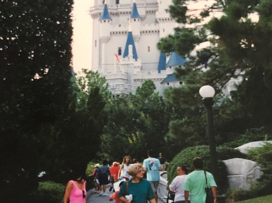 Disney Private Vip Tours-奥兰多必去景点