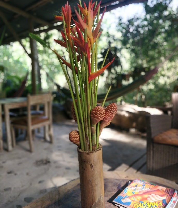 La Casa Del Pozo Azul主图