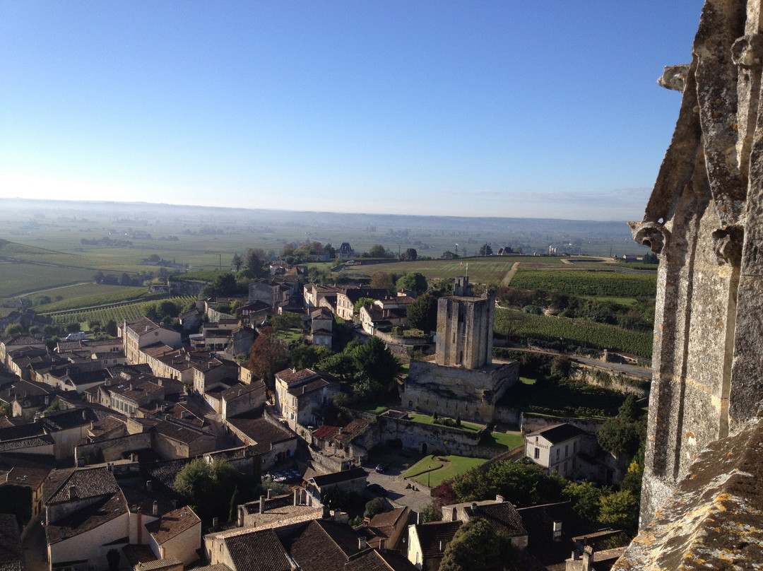 French Wine Adventures景点图片