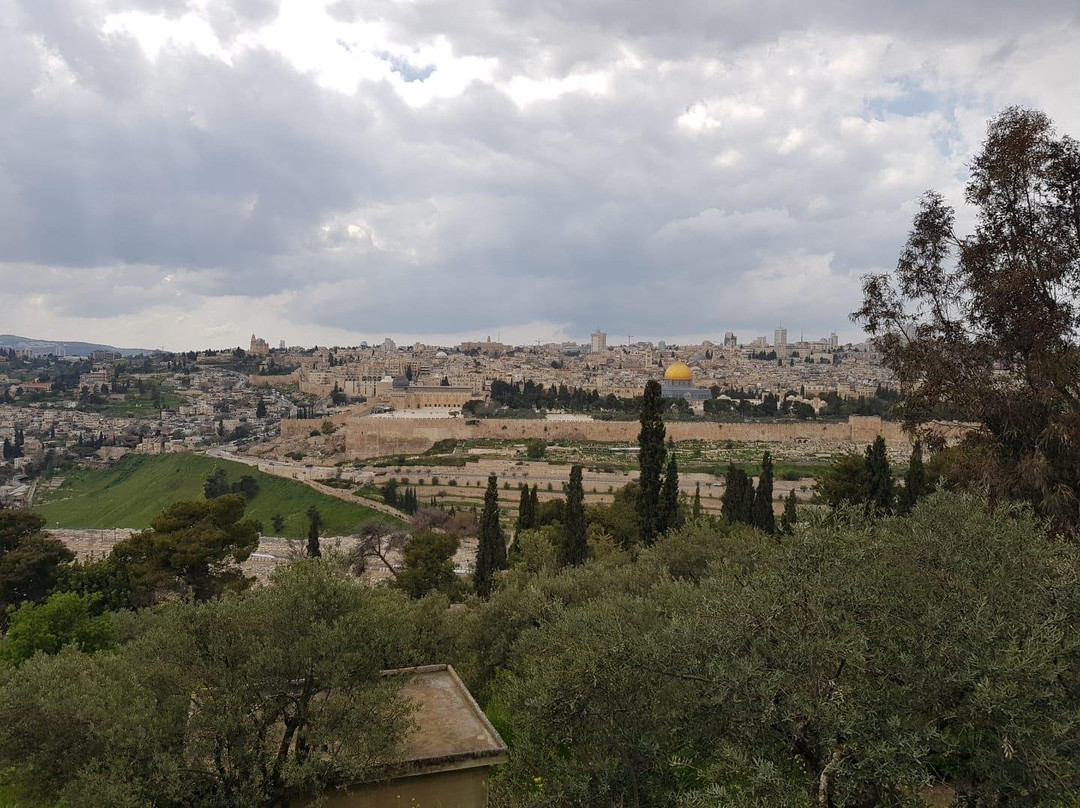 Insight HolyLand-Kiryat Tivon必去景点