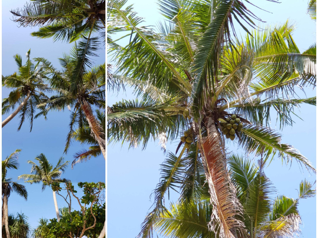 Sunrise Beach Inn主图