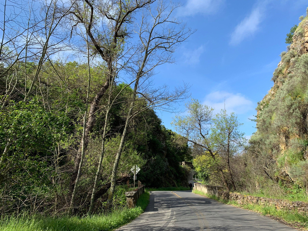Alum Rock Park-圣何塞必去景点