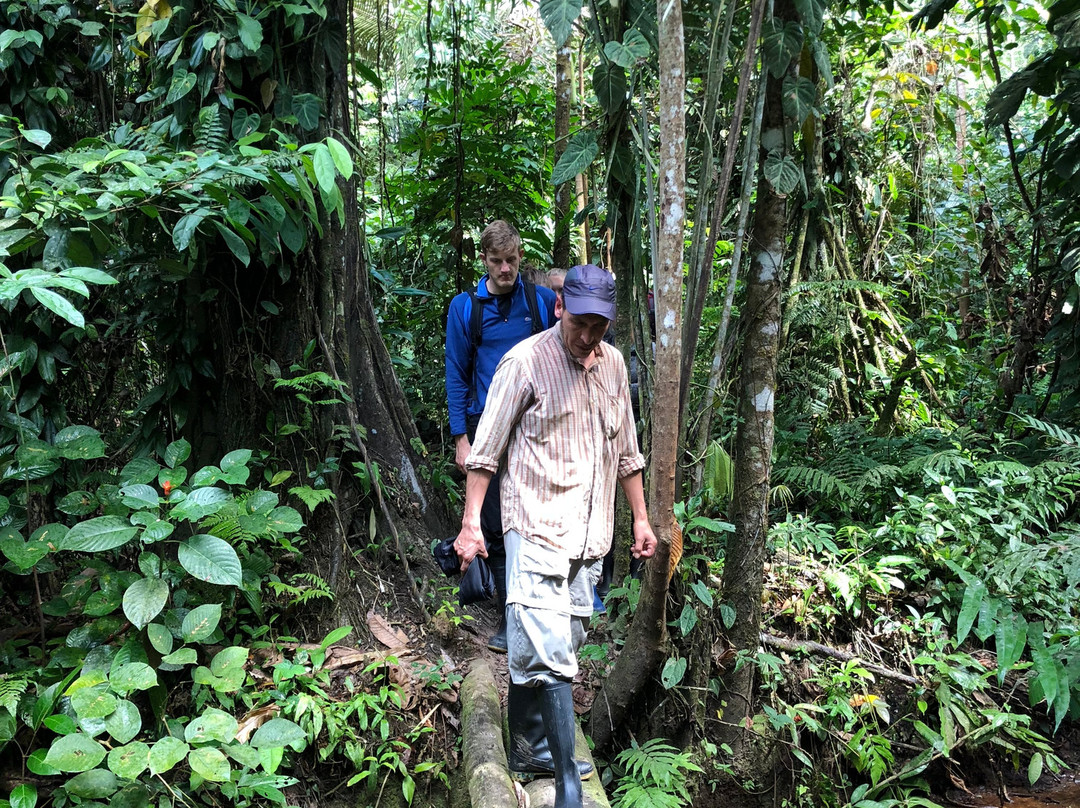 Kosnipata Valley-玛努国家公园必去景点