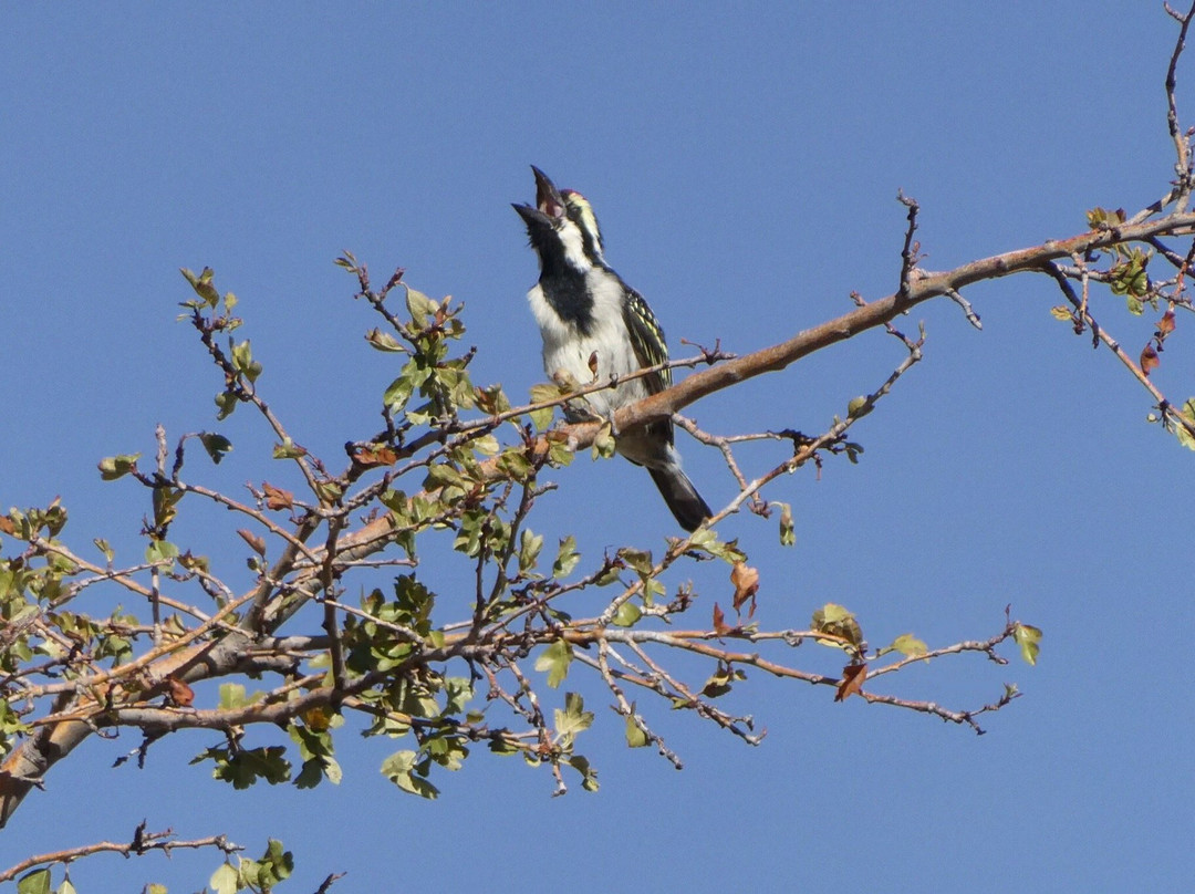 Middelfontein Farm主图